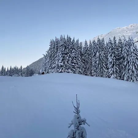 Sonnalm Appartement Berwang